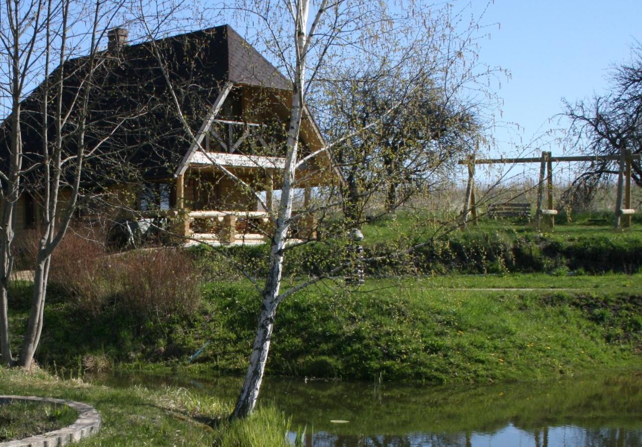 Dikisi Villa Daugavpils Luaran gambar