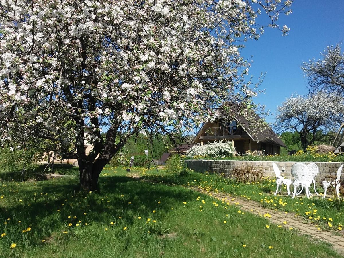 Dikisi Villa Daugavpils Luaran gambar